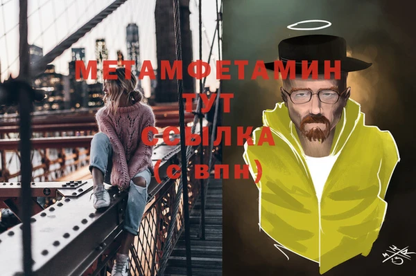 прущие грибы Кинешма