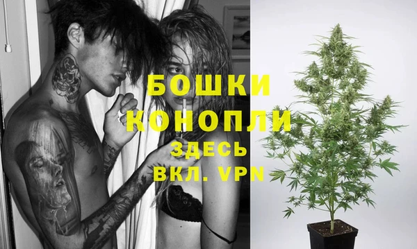 прущие грибы Кинешма