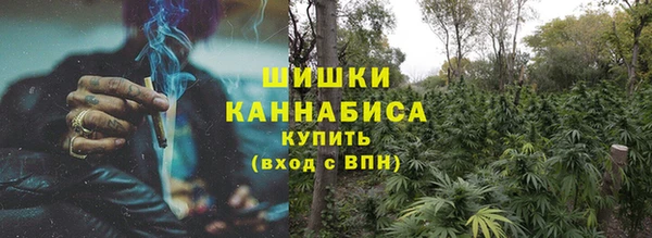 прущие грибы Кинешма