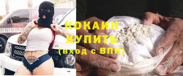 прущие грибы Кинешма