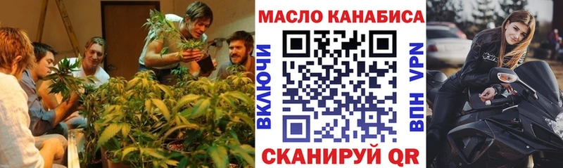 Купить где  Щёлково  ТГК концентрат